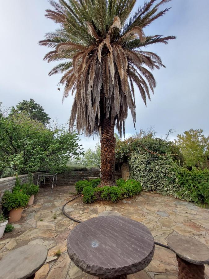 Villa Three Sons Guest Farm à Loxton Extérieur photo